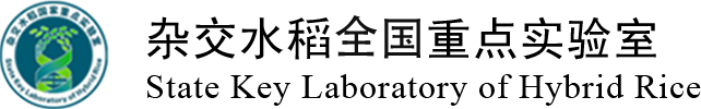 杂交水稻全国重点实验室