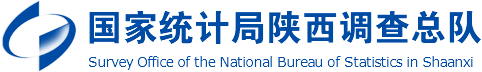国家统计局陕西调查总队