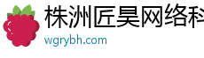 株洲匠昊网络科技有限公司
