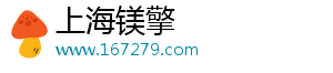上海镁擎