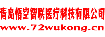 青岛悟空智联医疗科技有限公司