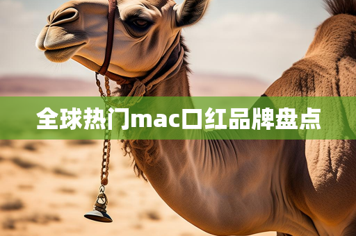 白亭网