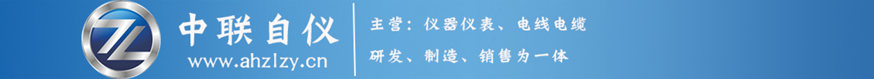 安徽中联自仪测控系统有限公司
