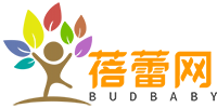 蓓蕾网