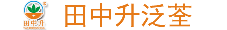 温州田中升品牌运营中心