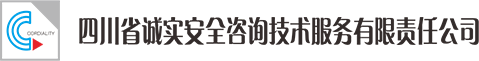 四川省诚实安全咨询技术服务有限责任公司