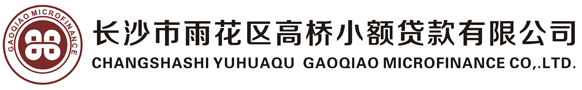 长沙市雨花区高桥小额贷款有限公司