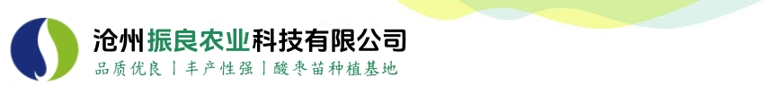 开云(中国)Kaiyun·官方网站