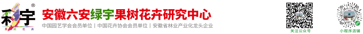 六安绿宇果树花卉研究中心