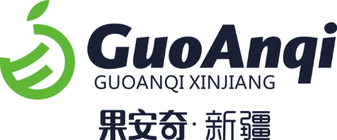 果安奇·新疆
