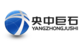 湖北央中巨石信息技术有限公司
