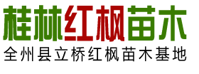 全州县立桥红枫苗木基地