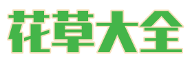 植物百科,花卉大全,绿植盆栽