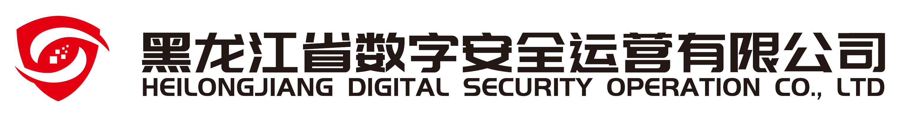 黑龙江省数字安全运营有限公司