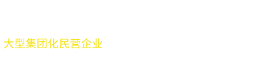 合肥庆合缘调味品有限公司