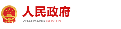 腾龙国际客服经理