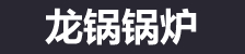 低氮冷凝蒸汽锅炉