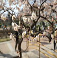 东方科技资讯