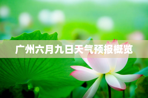 天气信息报告