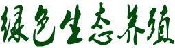 向明发的个人主页