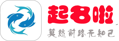 上海锐衡凯网络科技有限公司,好名字起名网