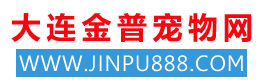 【金普宠物网】大连金普新区宠物网