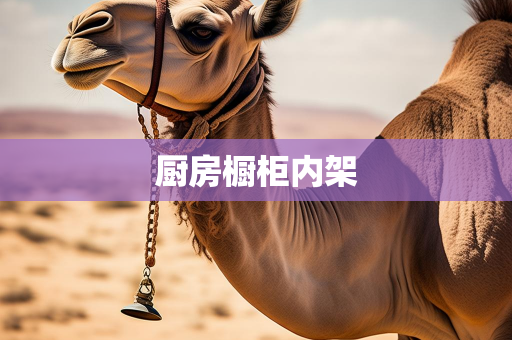 个人百货知识