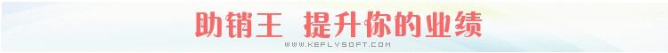 助销王crm客户管理系统