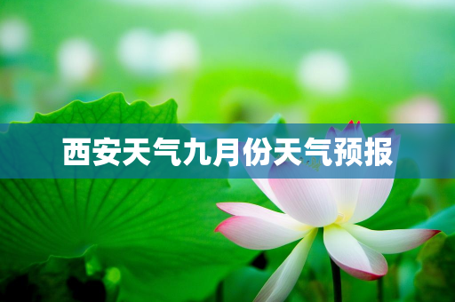 天气信息报告