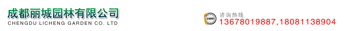 首页