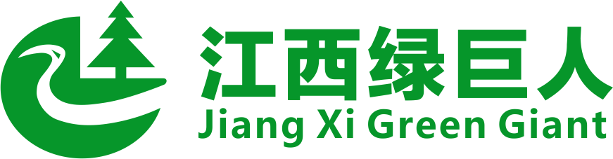 首页