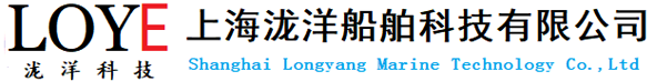 上海泷洋科技
