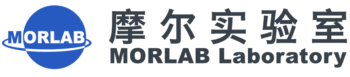 摩尔实验室