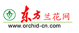 兰花首页