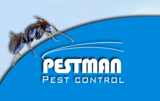 PESTMAN