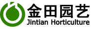 葡萄苗