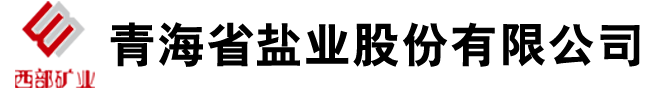 青海省盐业股份有限公司