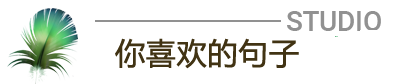 这里输入网站名字备案时候起的名字