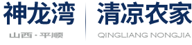 山西井底农家