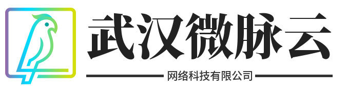 武汉微脉云网络科技有限公司