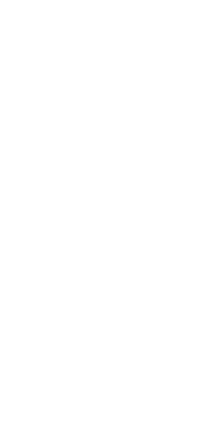 潍坊风筝