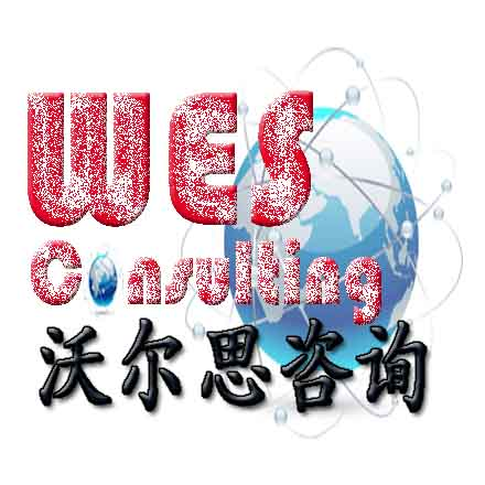 北京沃尔思咨询有限公司