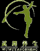 养生武舞