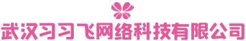 武汉习习飞网络科技有限公司