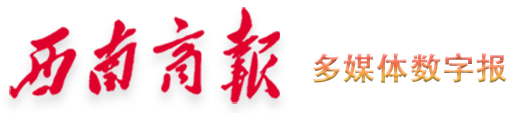 西南商报2025年06月17日