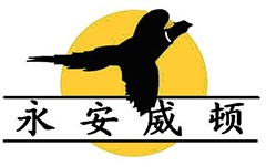 首页