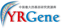 赢润生物