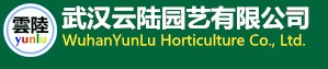 武汉云陆园艺有限公司武汉鲜花绿植盆栽送货上门