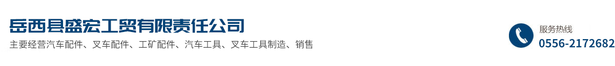 岳西县盛宏工贸有限责任公司