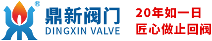 对夹式止回阀